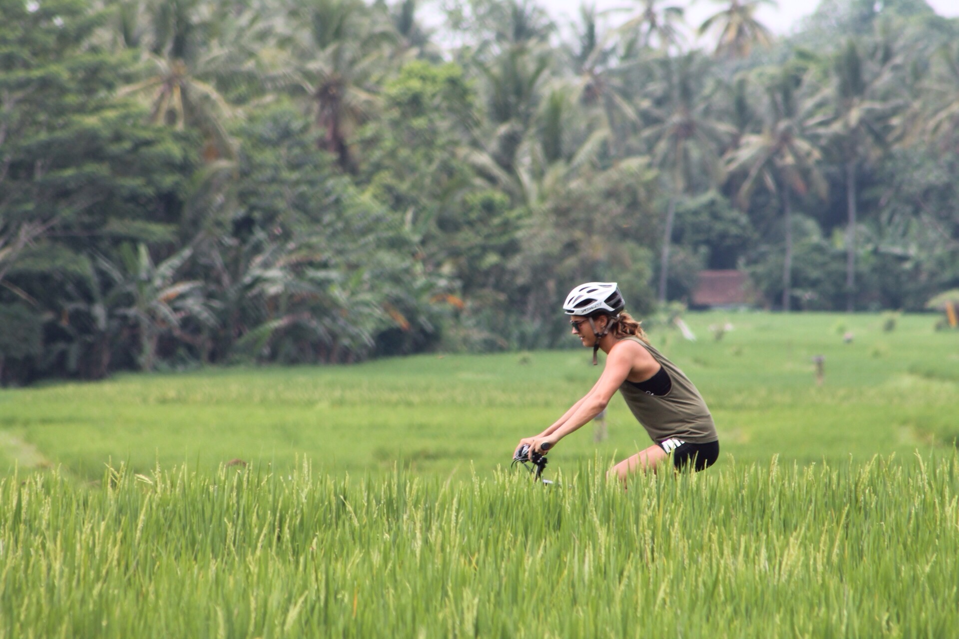 Mountainbike daisy, jatiluwih, retreat