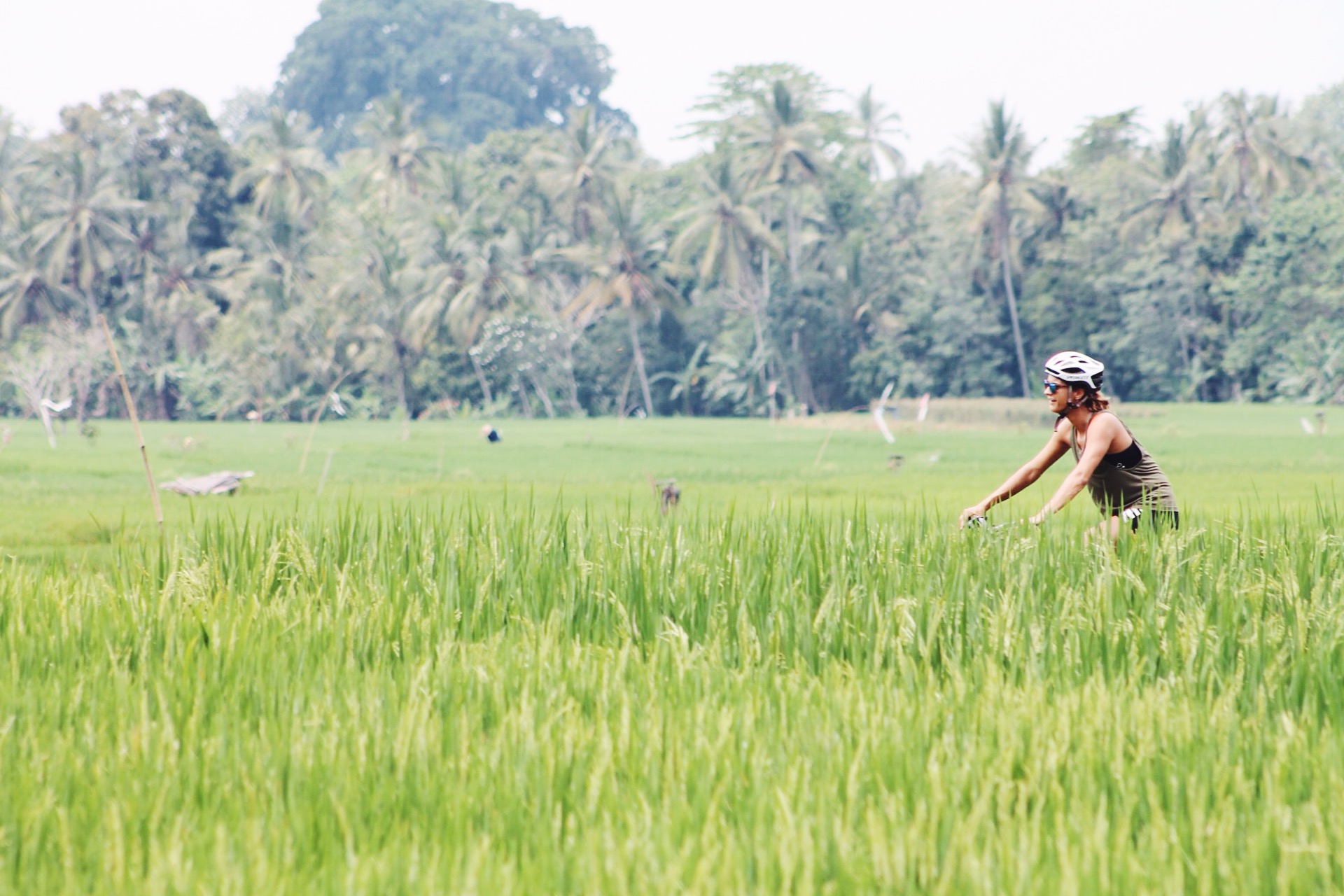 Mountainbike daisy, jatiluwih, retreat, activiteiten in ubud