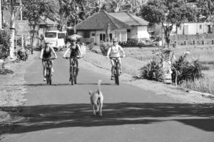 Mountainbike, jatiluwih, retreat