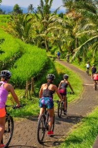 Mountainbike, jatiluwih, retreat
