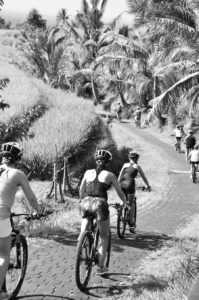 Mountainbike, jatiluwih, retreat