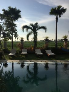 Canggu Bona Kubu Guesthouse