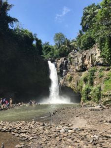waterval bali ubud, Tegenungang
