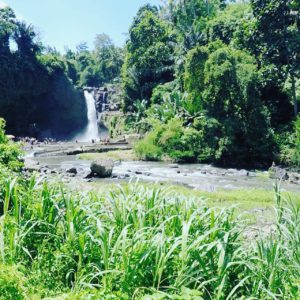waterval bali ubud, Tegenungang