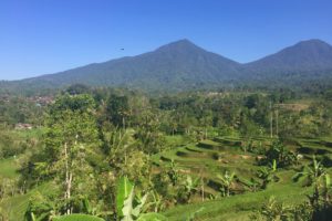 ubud, rijstvelden, jatiluwih