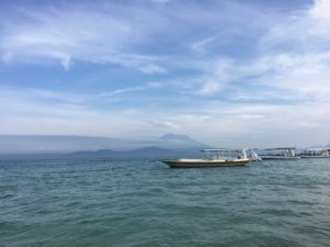 Manta ray tour, nusa lembongan