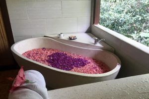 flower bath, bali botanica day spa, ubud bali
