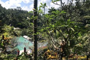 jungle fish ubud bali