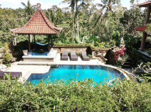 ubud, nick, bali, hotel