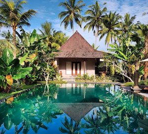 ubud, nick, bali, hotel