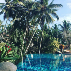 ubud, nick, bali, hotel