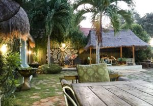 the cashew tree bingin bali